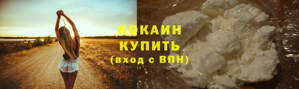 таблы Богородицк