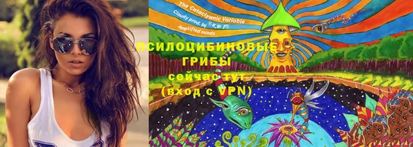 дурь Богданович
