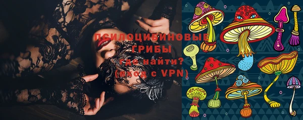 дурь Богданович