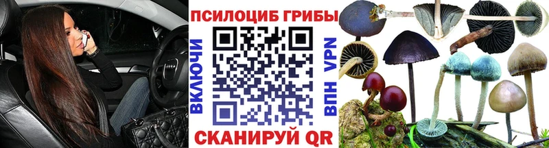 Купить  Кудрово  Псилоцибиновые грибы ЛСД 